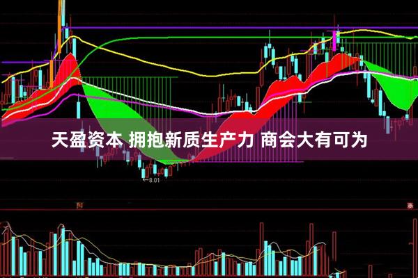 天盈资本 拥抱新质生产力 商会大有可为