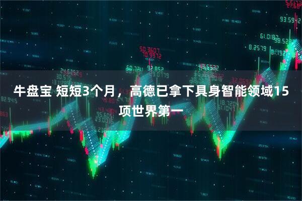 牛盘宝 短短3个月，高德已拿下具身智能领域15项世界第一