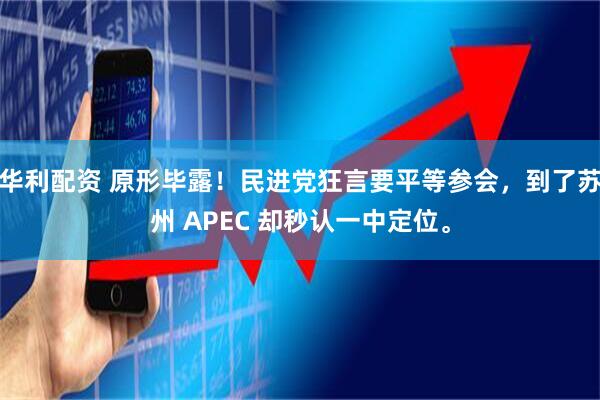 华利配资 原形毕露！民进党狂言要平等参会，到了苏州 APEC 却秒认一中定位。